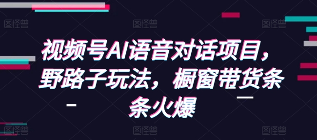 视频号AI语音对话项目，野路子玩法，橱窗带货条条火爆-第一资源库